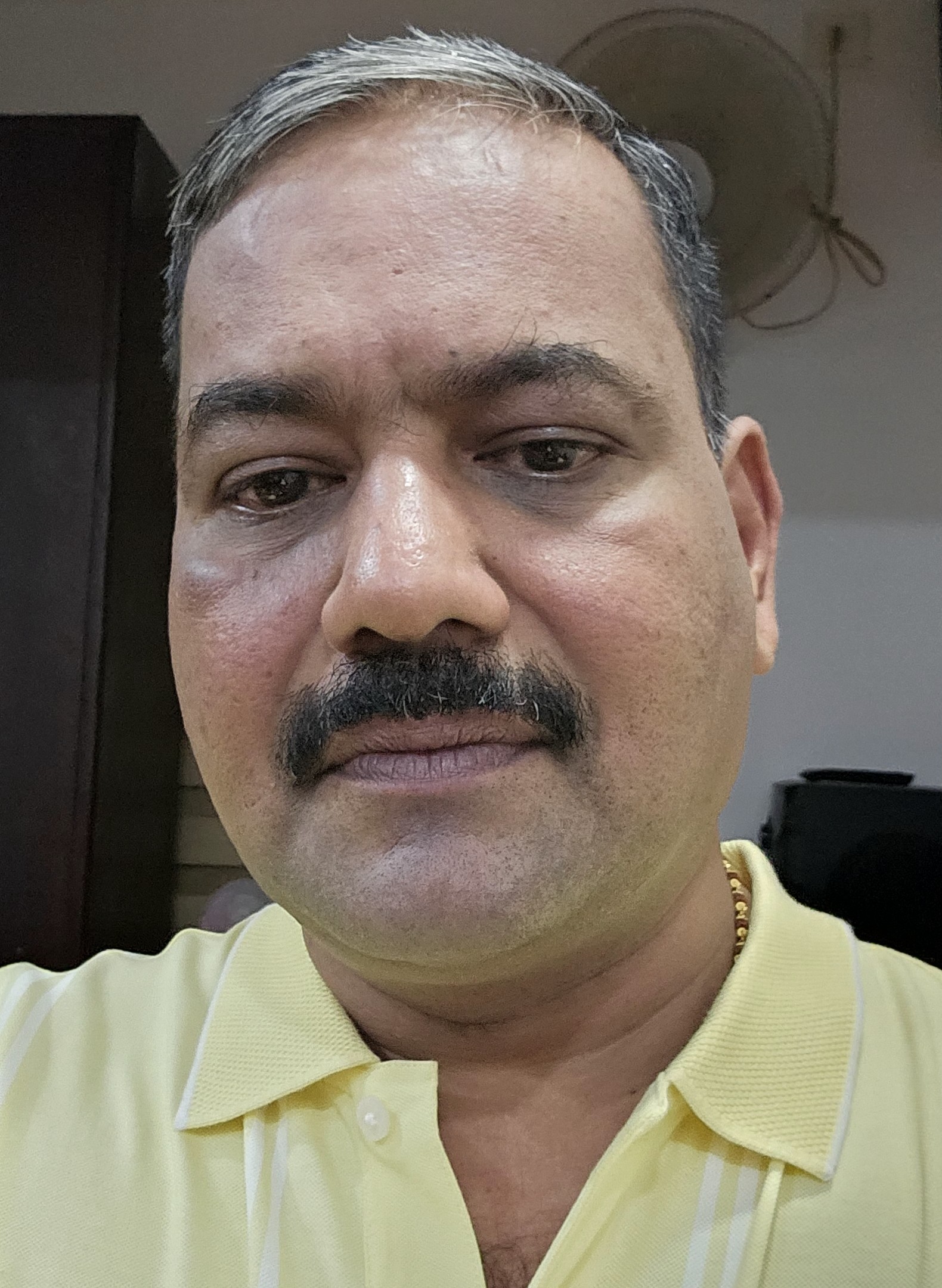 Bijesh K